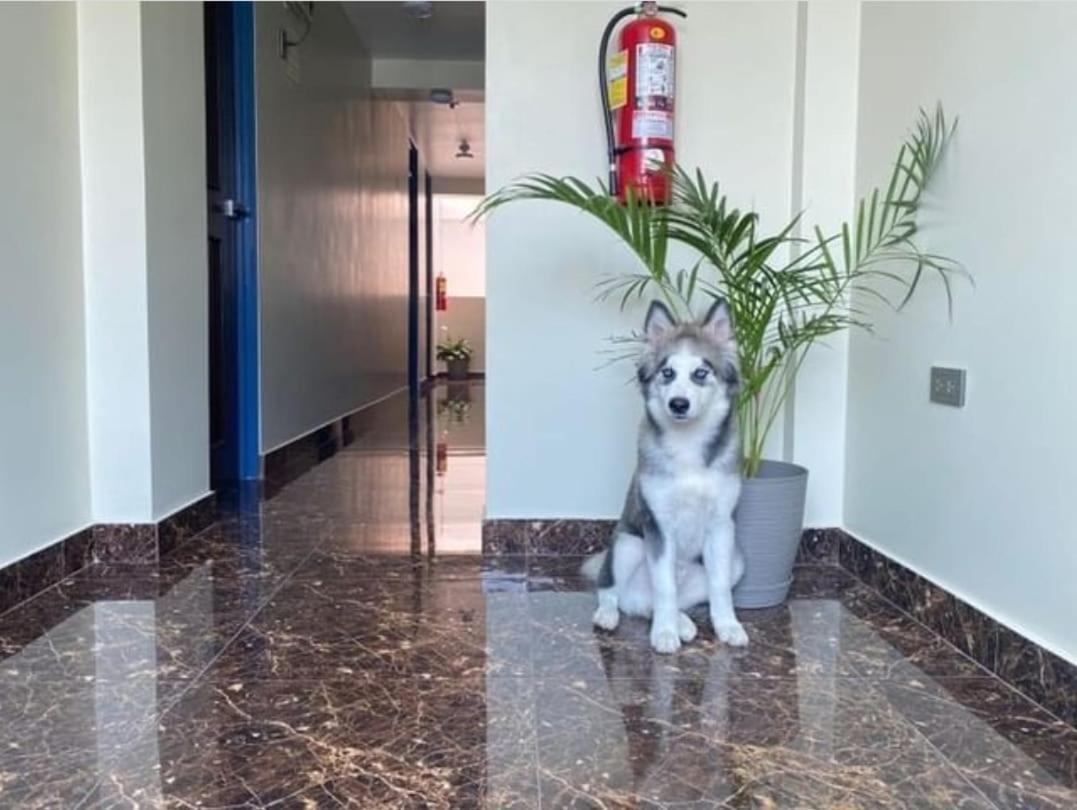 Blue Three Hotel 3*